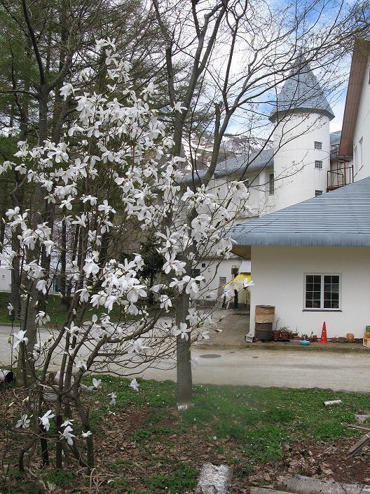 Grindelwald Yuzawa (Niigata) Bagian luar foto
